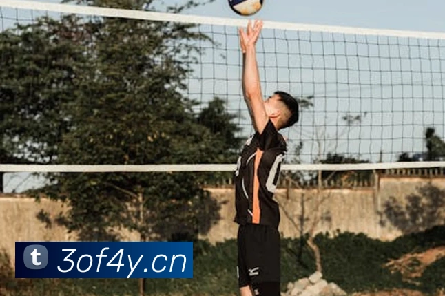 云顶网页版入口平台生态图